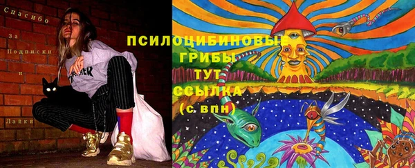 ALPHA PVP Алзамай